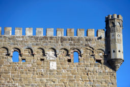 Monterone Castle - Merlons' detail