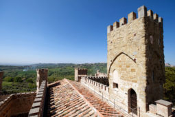 Castello di Monterone - Torre del Castello